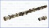 KIA 2410033110 Camshaft